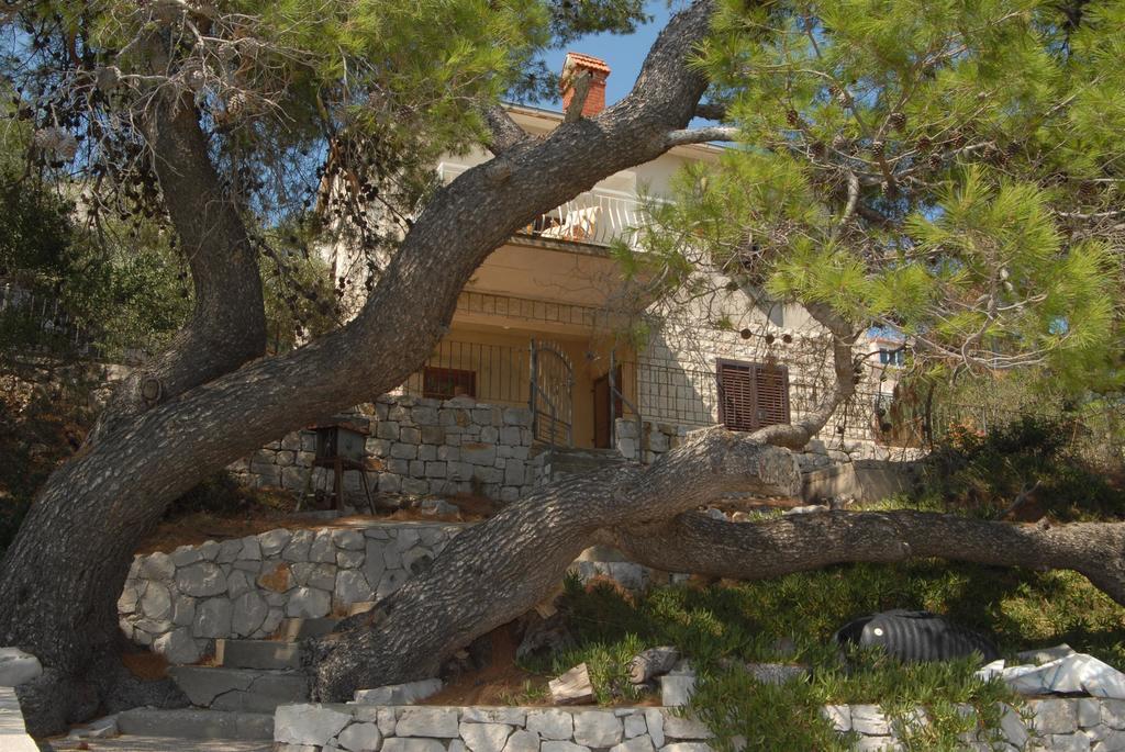 House Andrea Villa Lastovo Bagian luar foto
